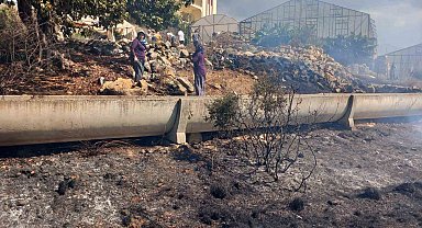 Gazipaşa'da zirai alanda yangın büyümeden söndürüldü
