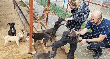 Germencik Sokak Hayvanları Rehabilitasyon Merkezi açılış için gün sayıyor