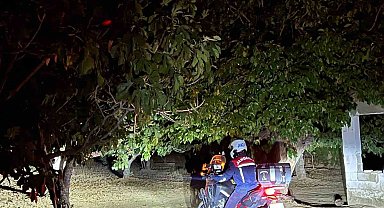 Germencik'te jandarma incir hırsızlıklarını önlemek için sahada