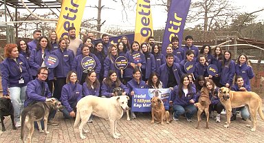 Getir'den hayvan barınaklarına 1 milyon kap mama desteği