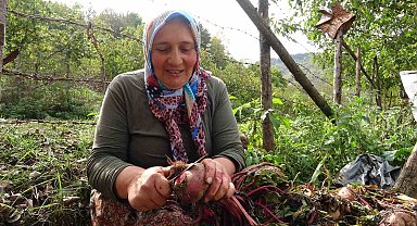 Giresun'da kadınlar geleneksel yöntemlerle kışlık yiyeceklerini hazırlıyor