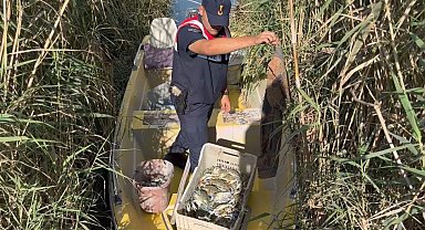 Göksu Deltası'nda mavi yengeç avcıları yakalandı