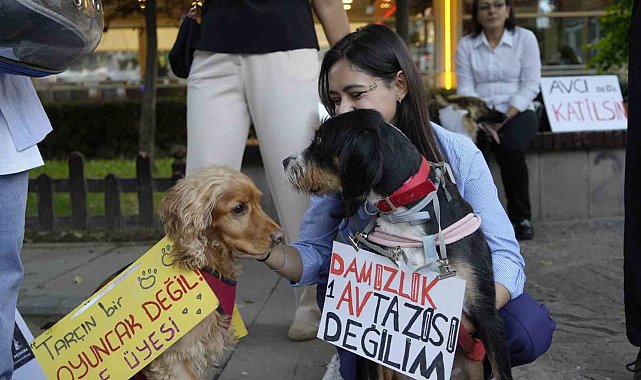 Gümüşhane'de 'Hayvanları Koruma Günü'nde anlamlı yürüyüş