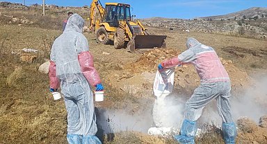 Gümüşhane'de şarbon hastalığı nedeniyle 6 köye giriş çıkış yasaklandı