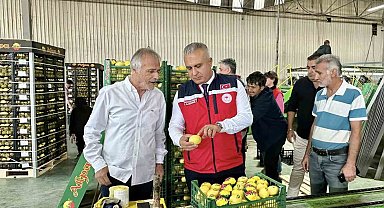 Hatay'da limon ihraç eden firmalar denetlendi