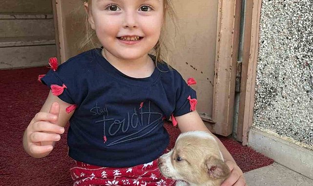 Hayatta olmayan Berra'yı MEBBIS'e kayıt edip okula geldi gibi göstermişler