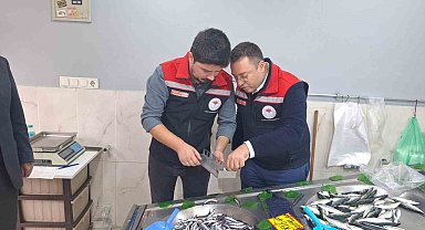 Hayrabolu'da balık satış yerleri denetlendi