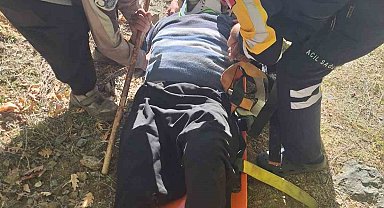 Hayvan otlatırken kayalıklardan düşen gazi kurtarıldı