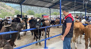 Hayvan pazarı şap hastalığı nedeniyle kapatıldı