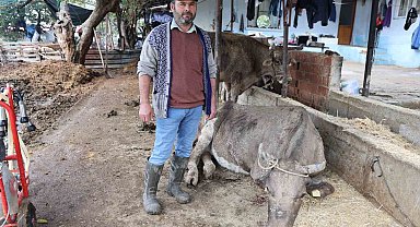Hayvanları sele kapılan Aktaş: "Adam boyu sel geldi"