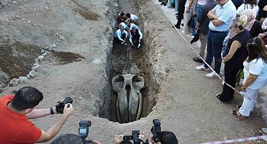 Heyecanlandıran keşif: '16 metrelik 'Balina'nın kafatası ve gövdesi tamamen ortaya çıktı