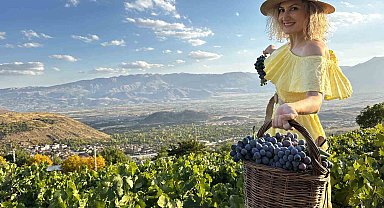 İki asırlık bağlarda bereket: Üzümlü'de Cimin Üzümü hasadı