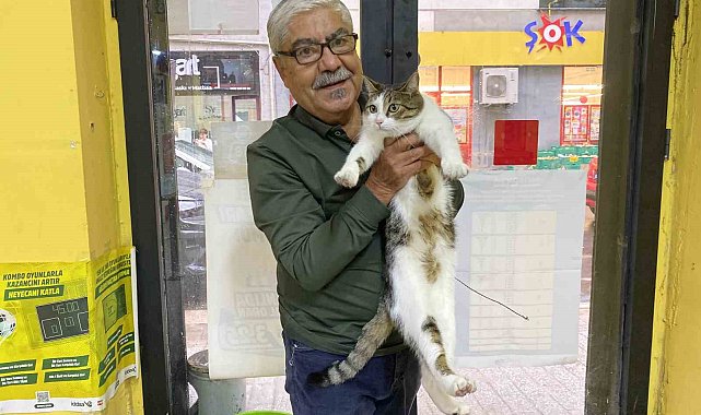 İki defa terk edilen kediye işletmeci sahip çıktı
