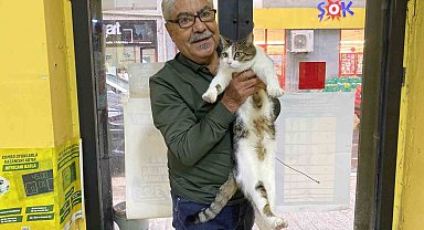 İki defa terk edilen kediye işletmeci sahip çıktı