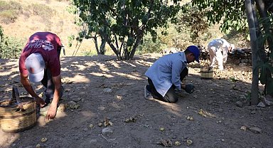İncir üreticisi Aydın Ziraat Odası Başkanı Kendirlioğlu'na ateş püskürdü
