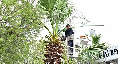 İzmir Çiğli'de sonbahar bakımı
