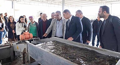 İzmir'de sezonun ilk zeytinyağı Başkan Tugay'dan