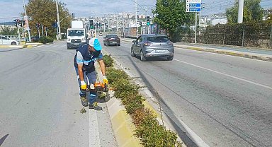 İzmit'te sonbahar budaması