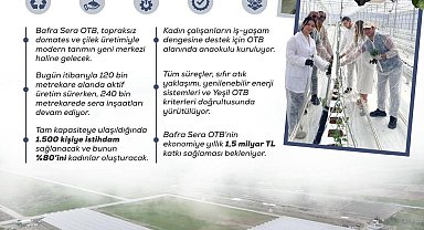 Kadın eliyle yeşeren tarım: Bafra Sera OTB, yıllık 1,5 milyar liralık katkı sunacak