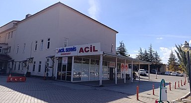 Kahramanmaraş'ta arının soktuğu çocuk hayatını kaybetti