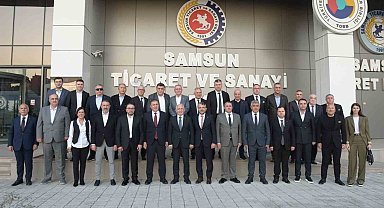 Kahverengi kokarca sorunu Samsun'daki oda ve borsaların gündeminde