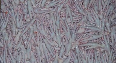 Kanatlı sektörü, Çin'e tavuk ayağı iznini bekliyor