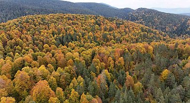 Karabük ormanlarındaki sonbahar renkleri mest ediyor