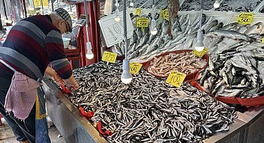 Karabük'te balık tezgahlarında hamsi bolluğu: Kilosu 100 TL'ye kadar düştü