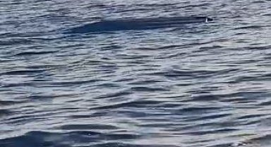 Karadeniz kıyılarında bir insansız deniz aracı şüphesi daha