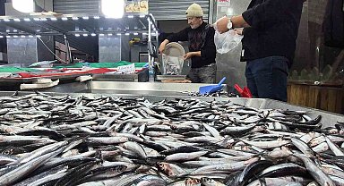 Karadeniz'de hamsi bollaştı, Bartın'da kilosu 50TL'ye düştü