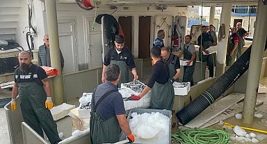 Karadeniz'den kasalarca hamsi çıktı