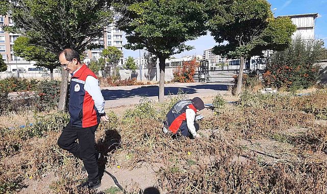 Karadeniz'in korkulu rüyası Sivas'ta görüldü