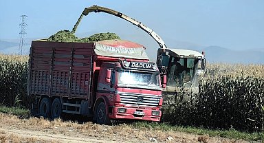 Karapınar'da mısır hasadı başladı
