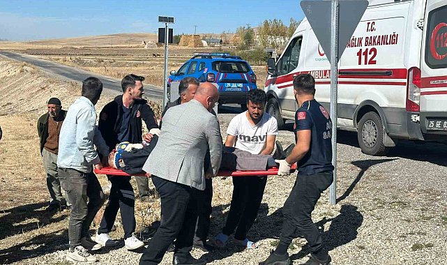 Karayazı'da trafik kazası: 1 yaralı