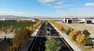 Kars'ta renk tonuna bürünen ağaçlar büyüledi