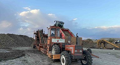 Kars'ta şeker pancarı hasadında yoğun mesai: Çiftçiler zamanla yarışıyor