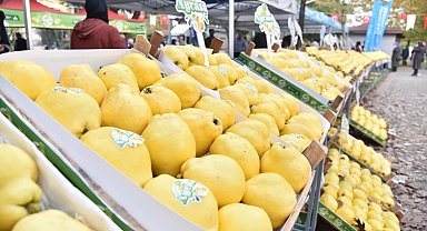 Kartepe'de Eşme Ayva Festivali düzenlenecek