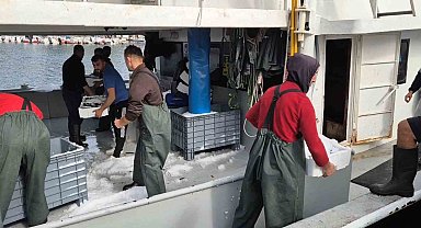 Kasa kasa balıkla döndüler:Tekirdağlı balıkçıların yüzü gülüyor