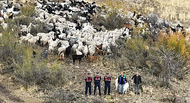 Kayıp 544 adet küçükbaş hayvanı dron ile bulunup sahibine teslim edildi