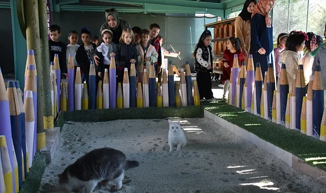 Kayseri Kocasinan'da can dostlar için özel kasaba
