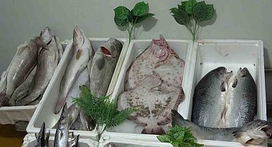 Kebap şehri Gaziantep'in yeni gözdesi balık