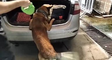 Kedi taşıma çantasında 2 kilo uyuşturucu ele geçirildi