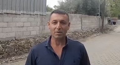 Kediye kalp masajı yaptı, hayata döndürdü