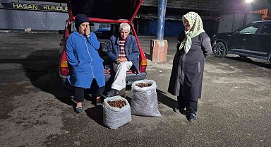 Kestane rekoltesi kuraklık sebebiyle düştü