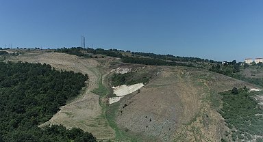 Kocaeli'de Kandıra Akçakese'ye 4 bin 500 ağaçlık doğal orman