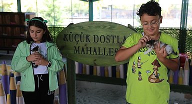 Kocasinan'da 'küçük dostlar' için Türkiye'ye örnek projeler