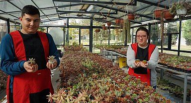 Konya Selçuklu'da otizmliler sukulentleri sevgiyle yetiştiriyor