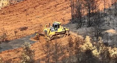 Köyceğiz'de yanan alanlara ilk fidanlar 11 Kasım'da toprakla buluşacak