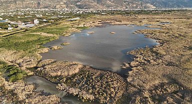 Kuraklığın etkisiyle çölü aratmaz hale gelen Milleyha'da yağışlarla birlikte kuşların sesleri yankılanmaya başladı