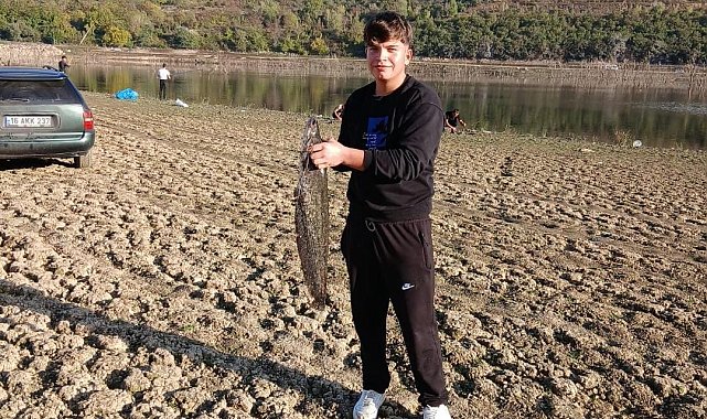 Kuruyan gölde yayın avı